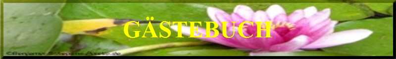 GSTEBUCH