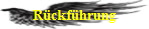 Rckfhrung