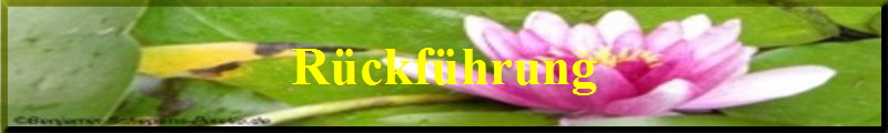 Rckfhrung